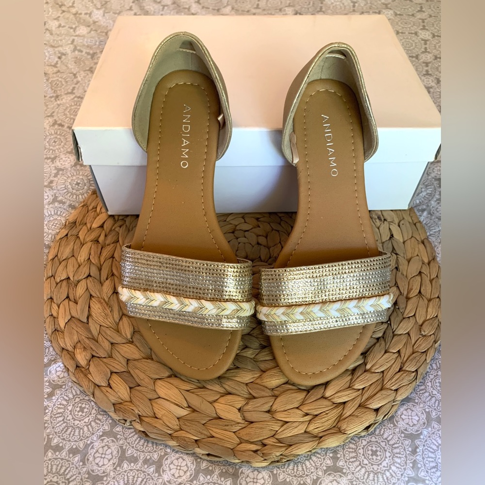 New Andiamo Slides
